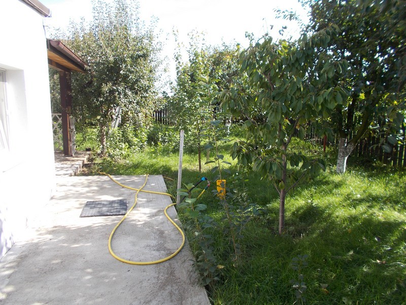 imobiliare timisoara