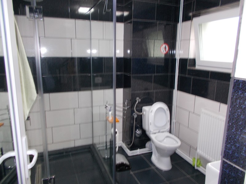 imobiliare timisoara