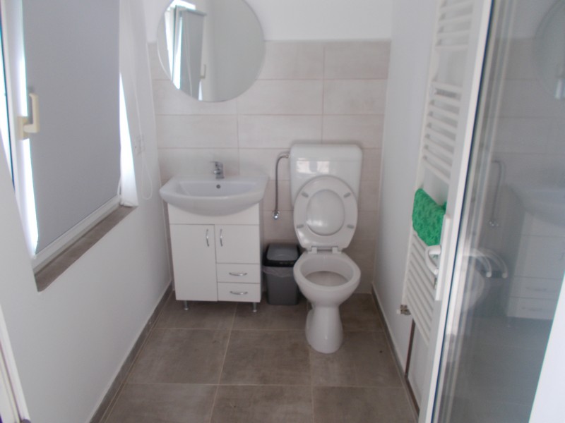 imobiliare timisoara