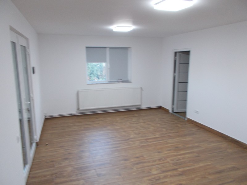 imobiliare timisoara