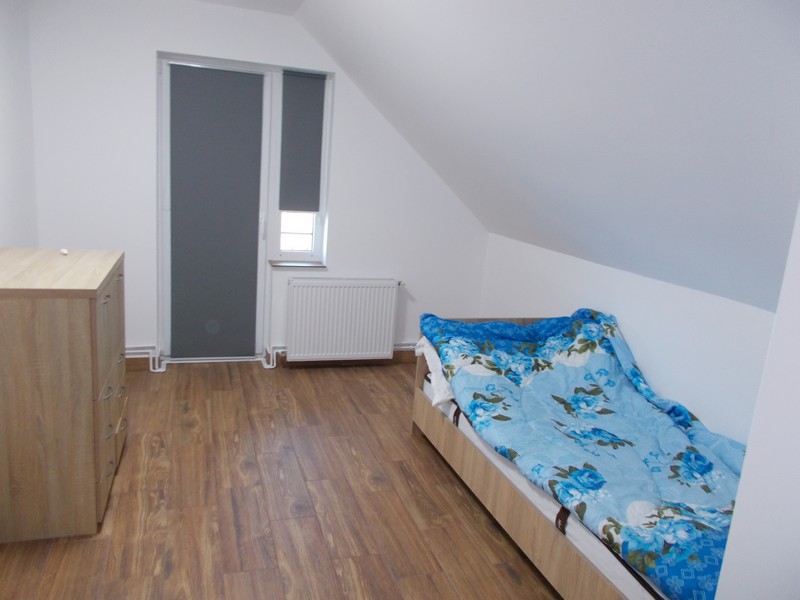 imobiliare timisoara