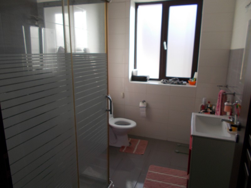 imobiliare timisoara