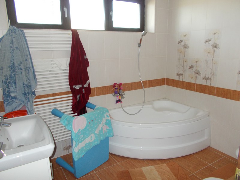 imobiliare timisoara