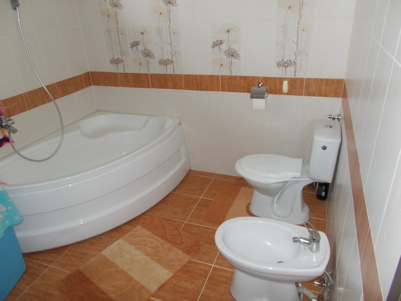 imobiliare timisoara