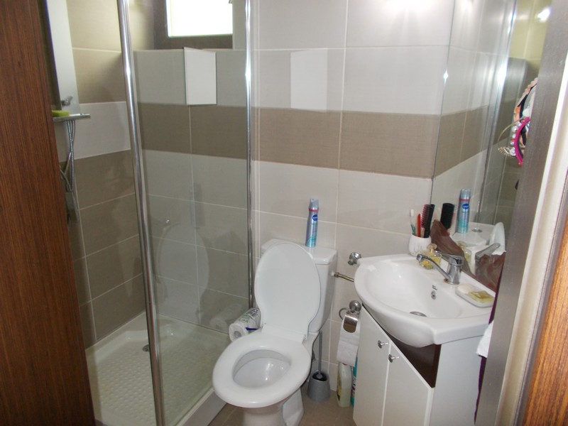 imobiliare timisoara