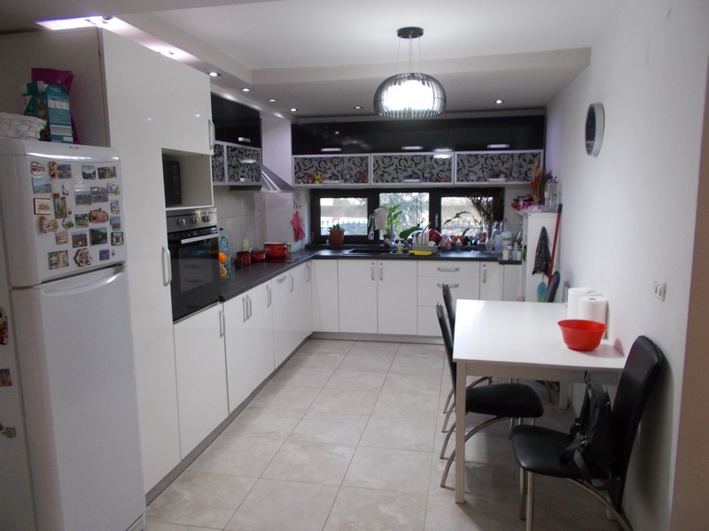 imobiliare timisoara