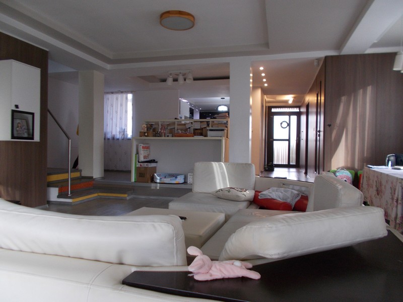 imobiliare timisoara