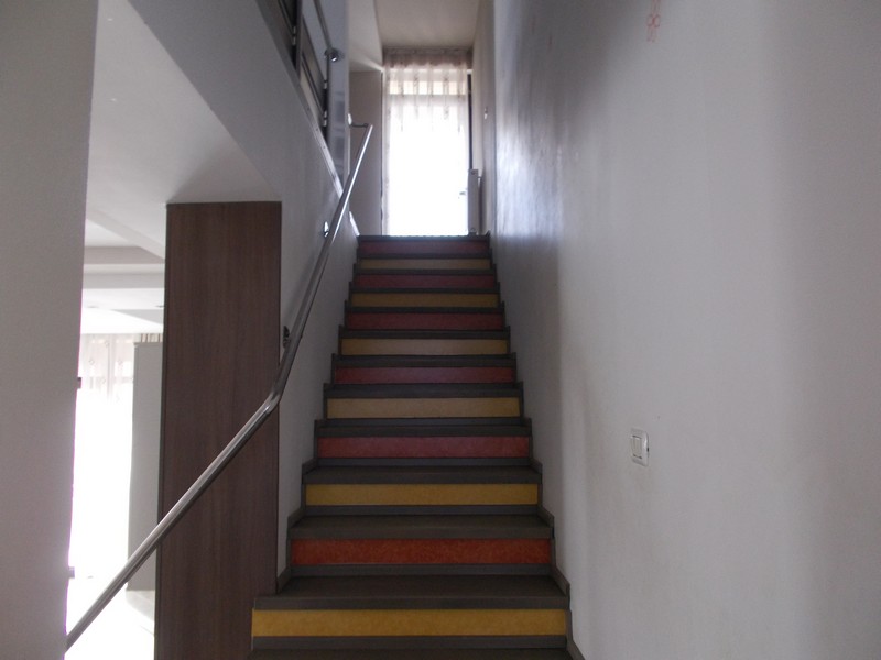 imobiliare timisoara