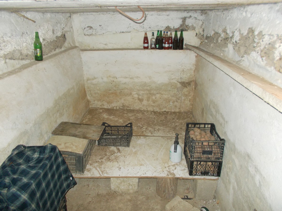 imobiliare timisoara