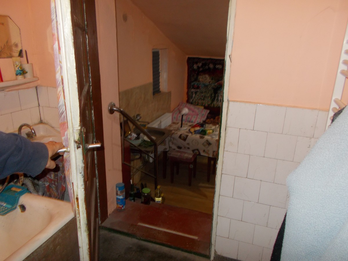 imobiliare timisoara