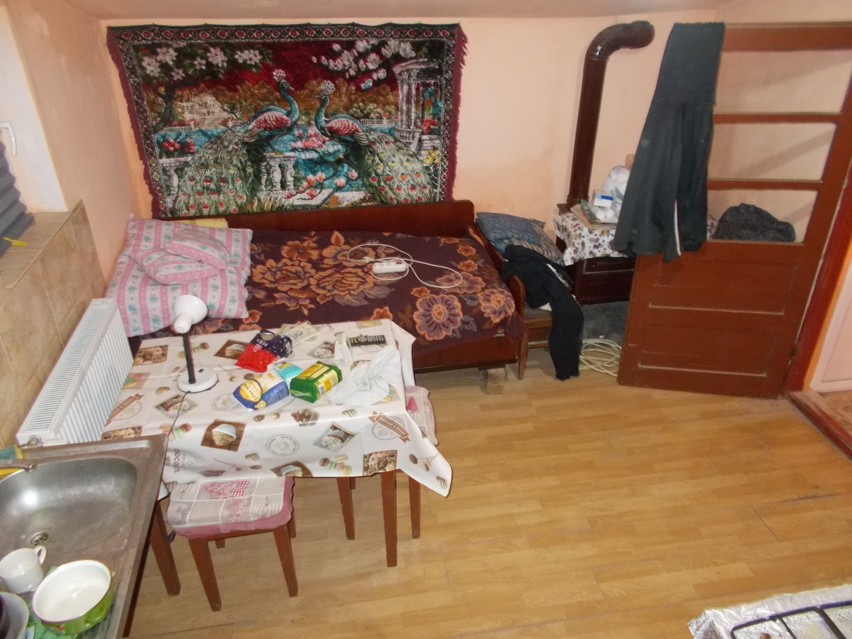 imobiliare timisoara