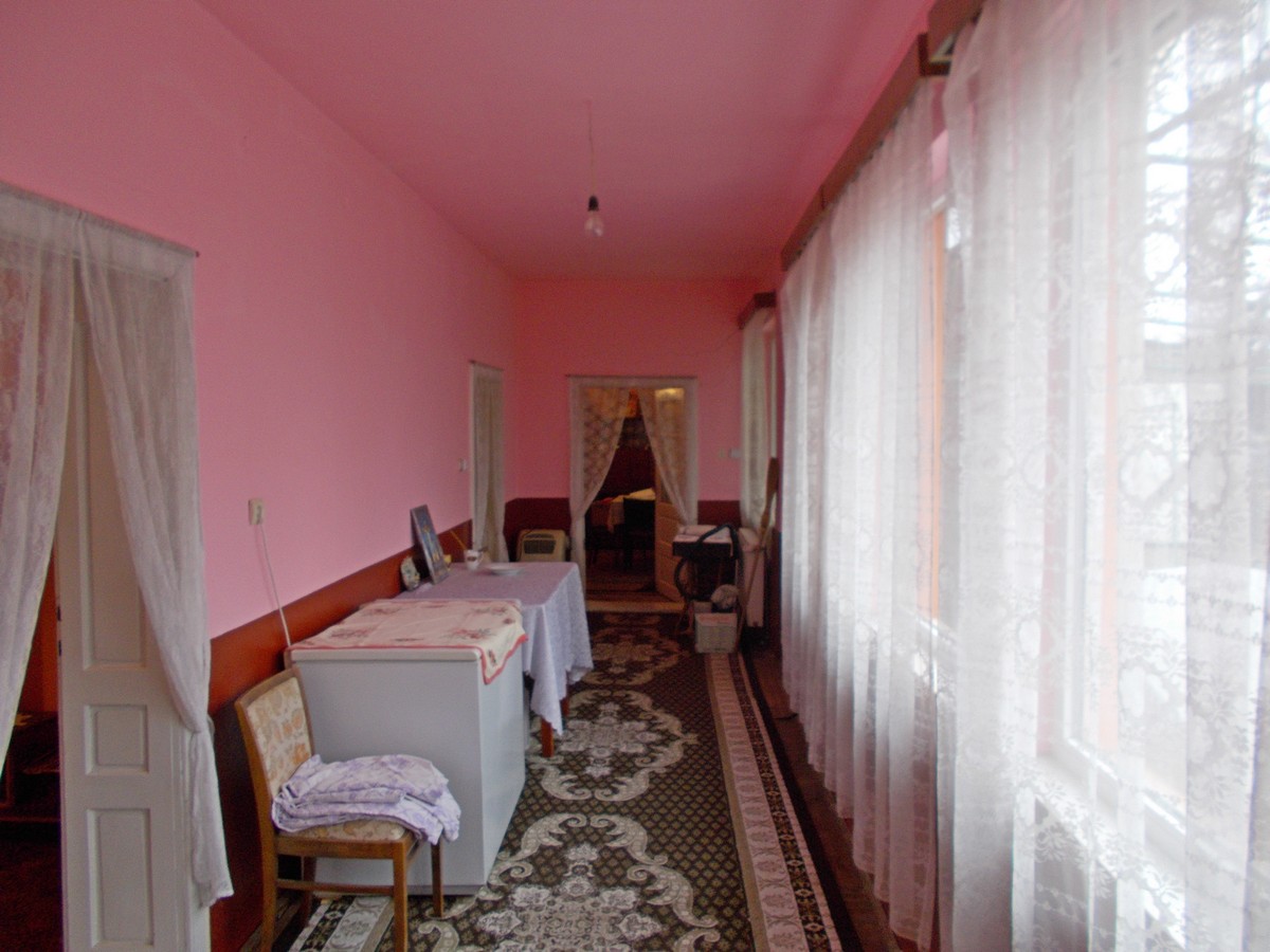 imobiliare timisoara