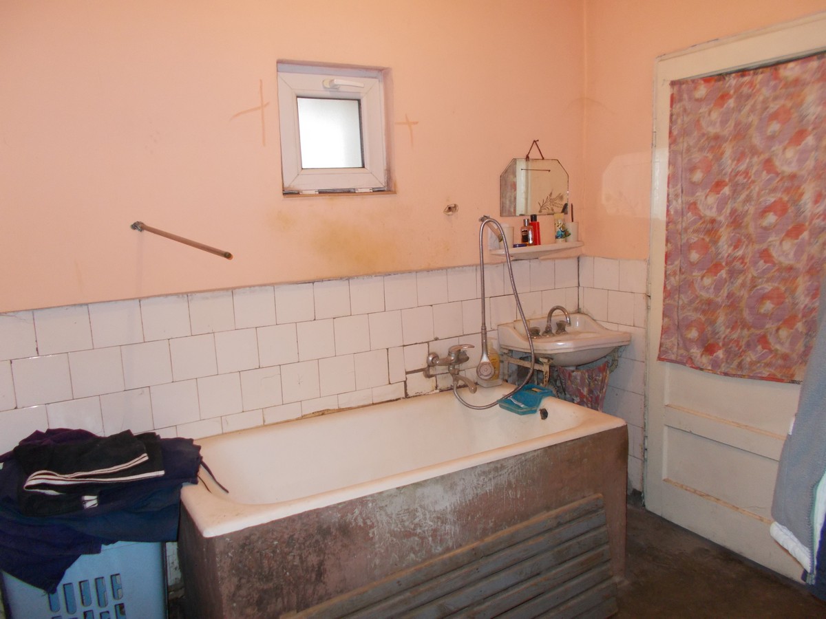 imobiliare timisoara