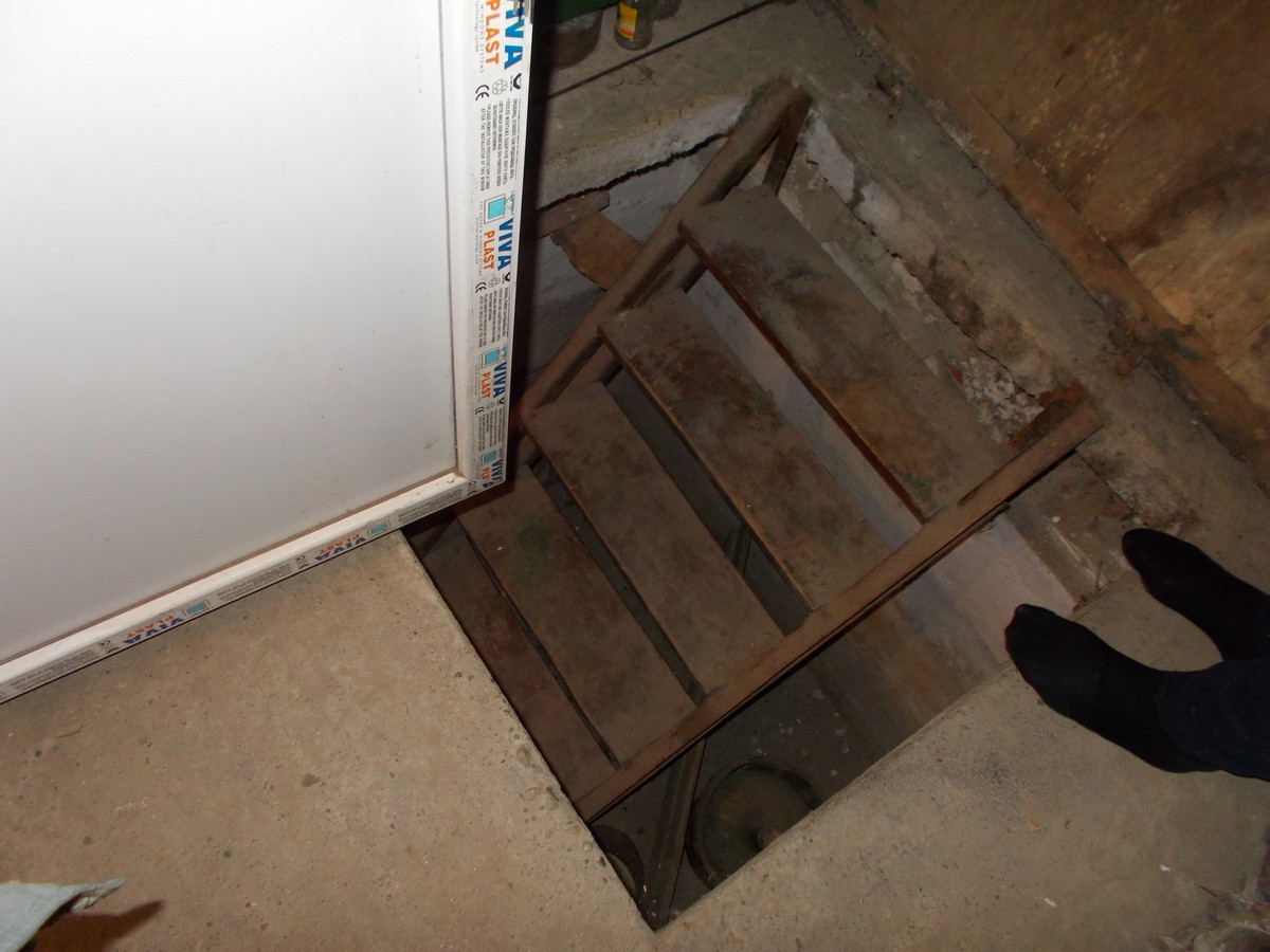 imobiliare timisoara