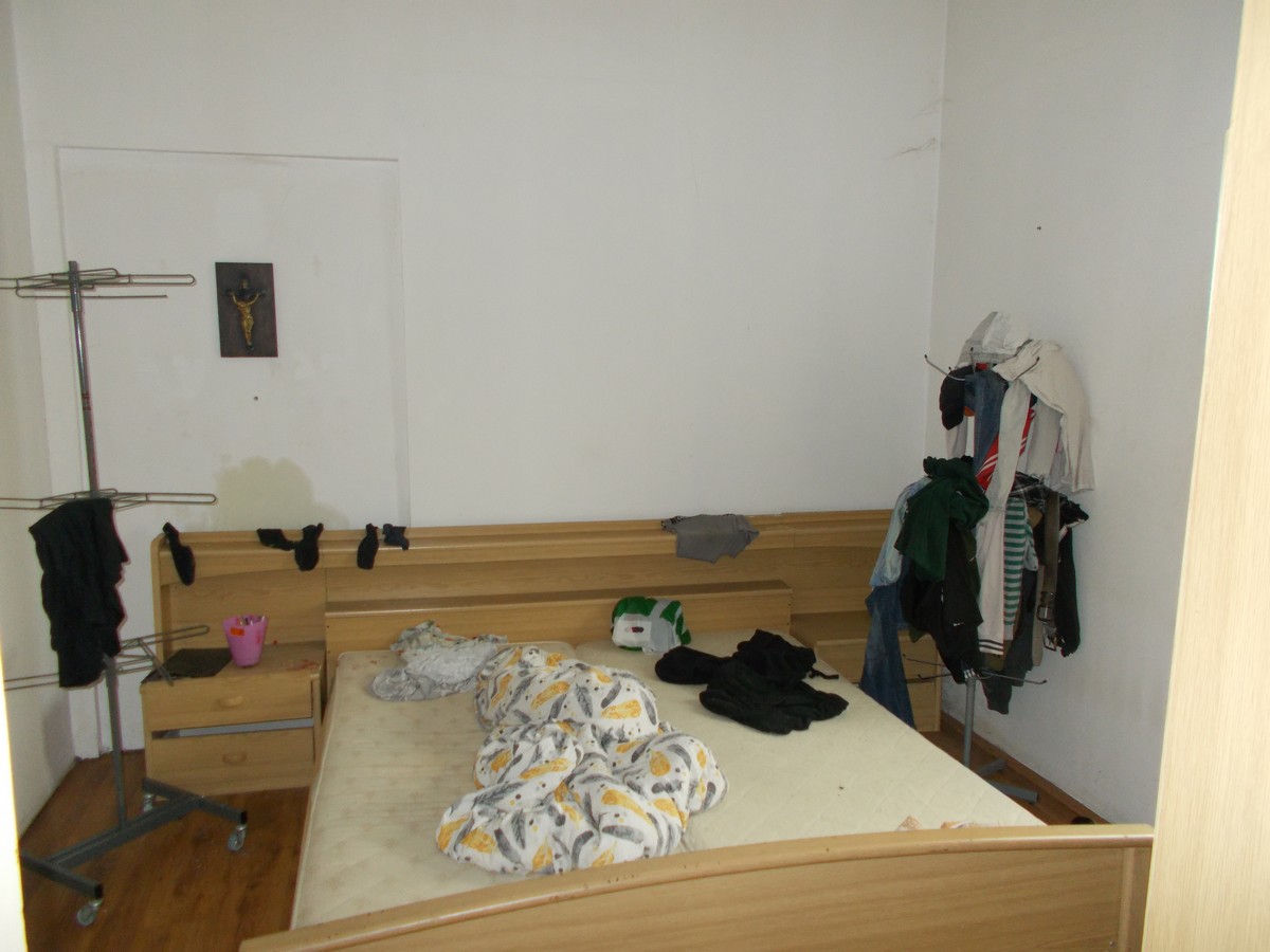 imobiliare timisoara