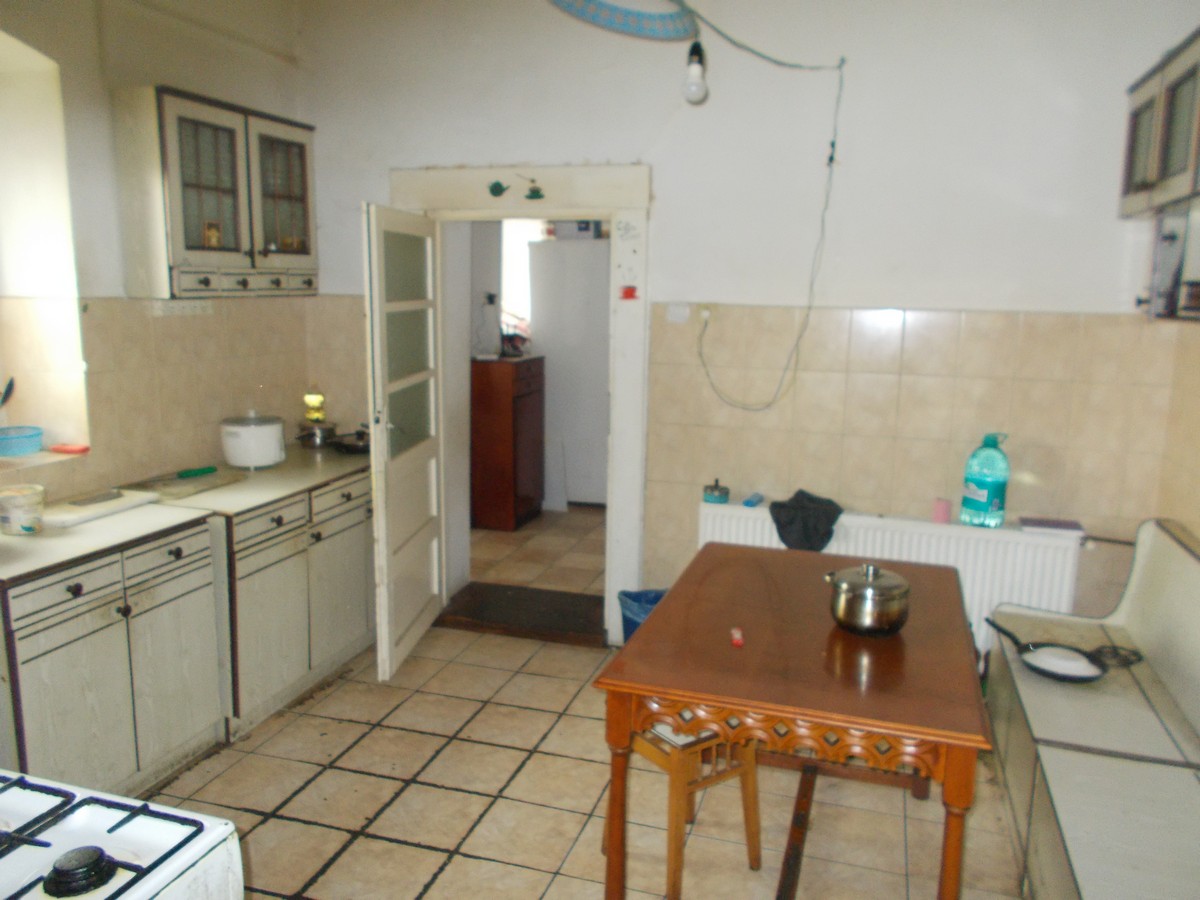 imobiliare timisoara