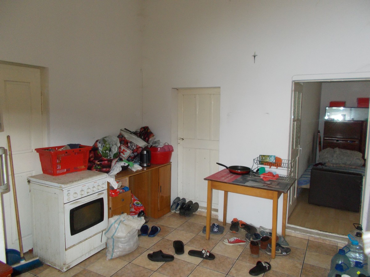 imobiliare timisoara