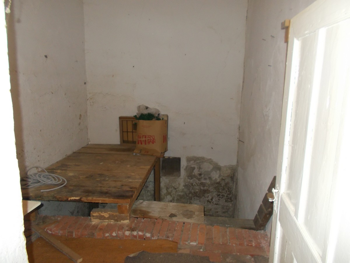 imobiliare timisoara