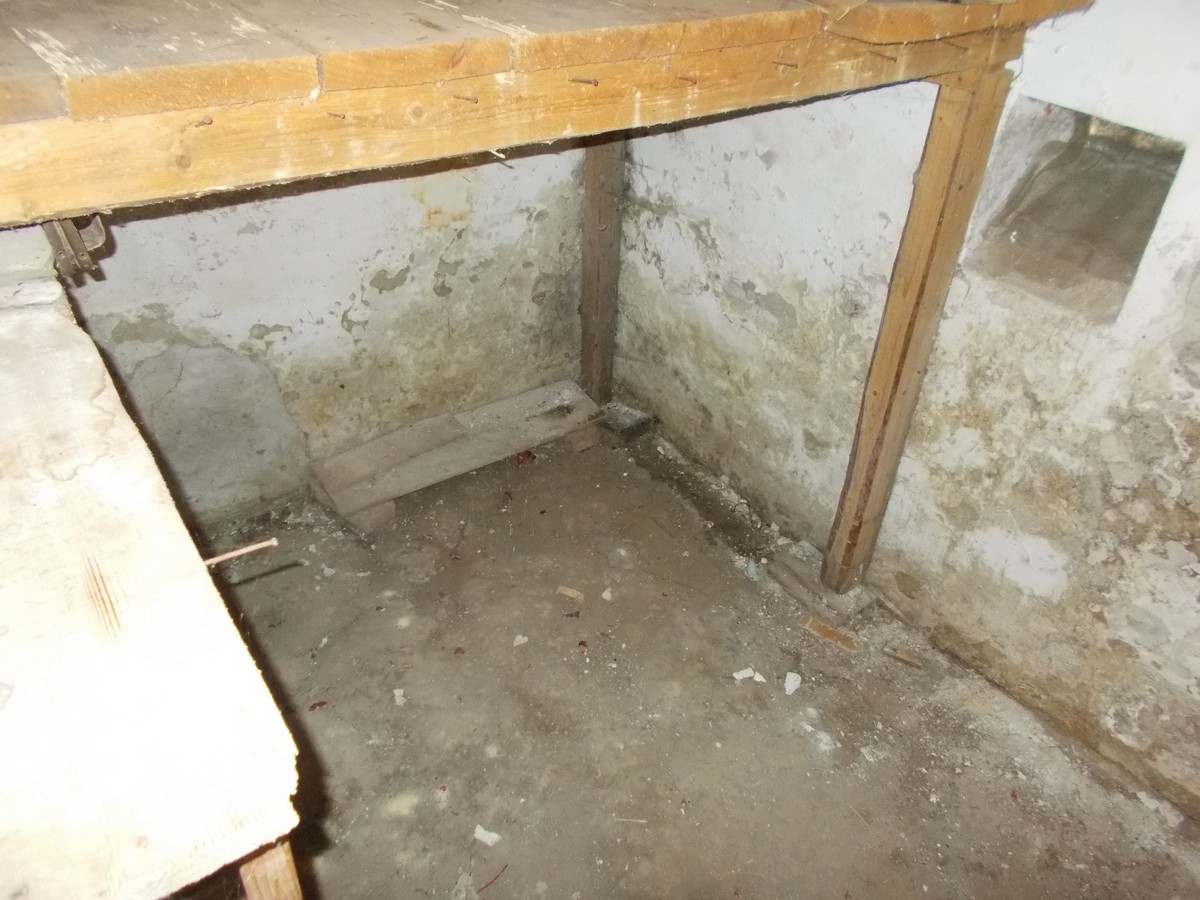 imobiliare timisoara