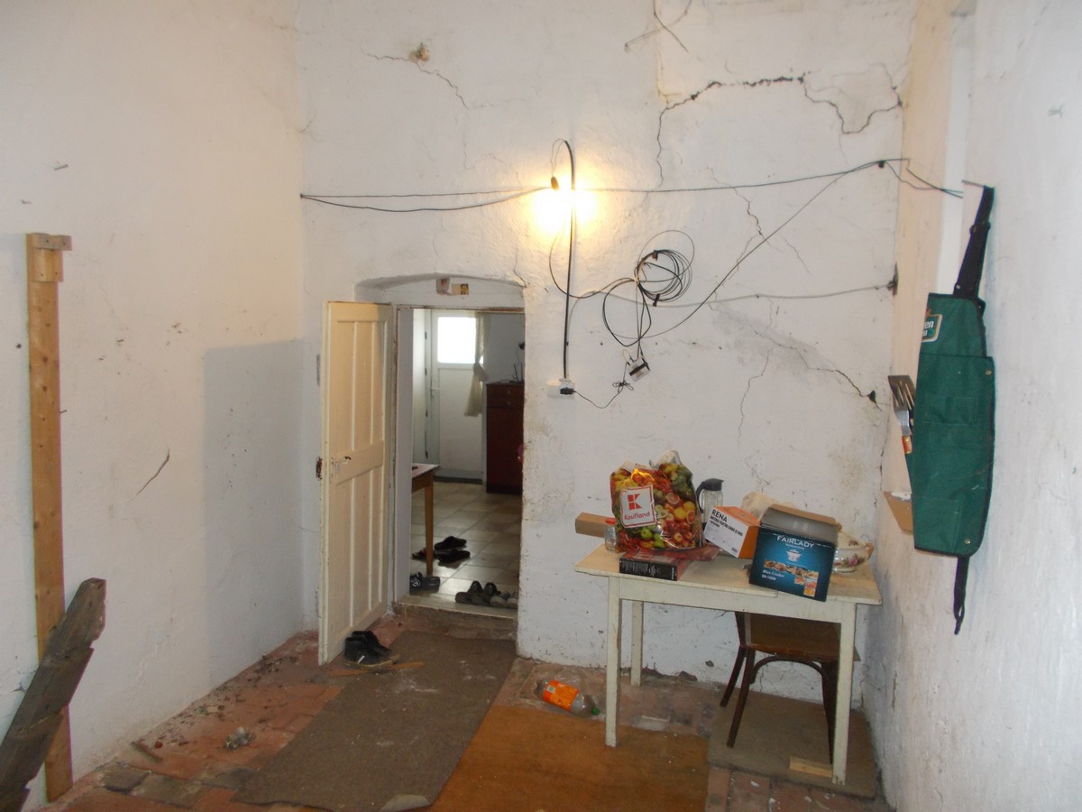 imobiliare timisoara