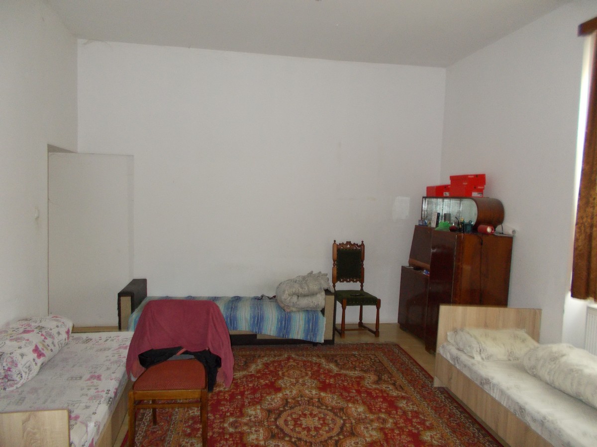 imobiliare timisoara