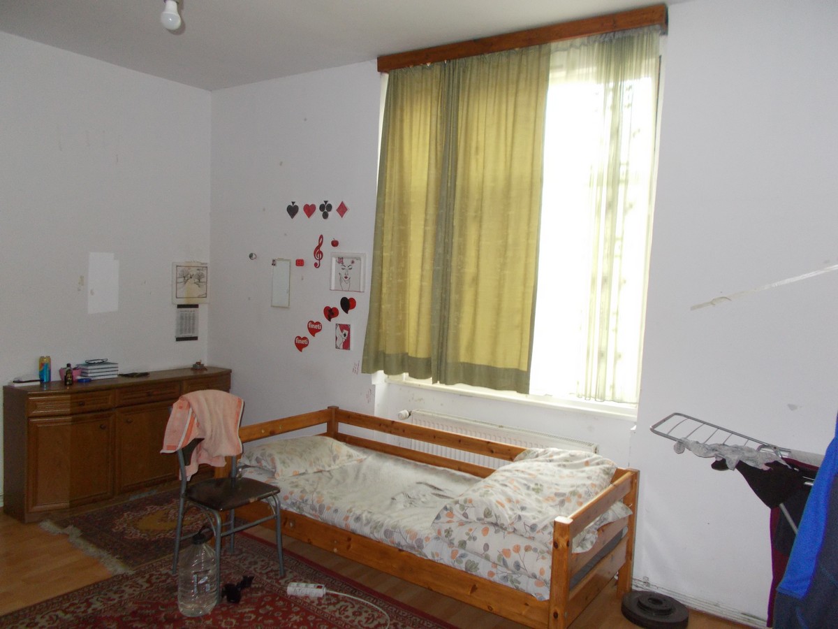 imobiliare timisoara