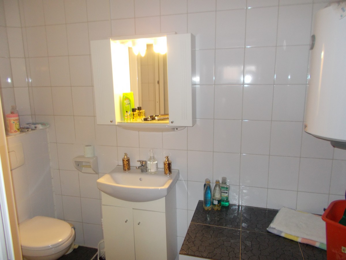 imobiliare timisoara