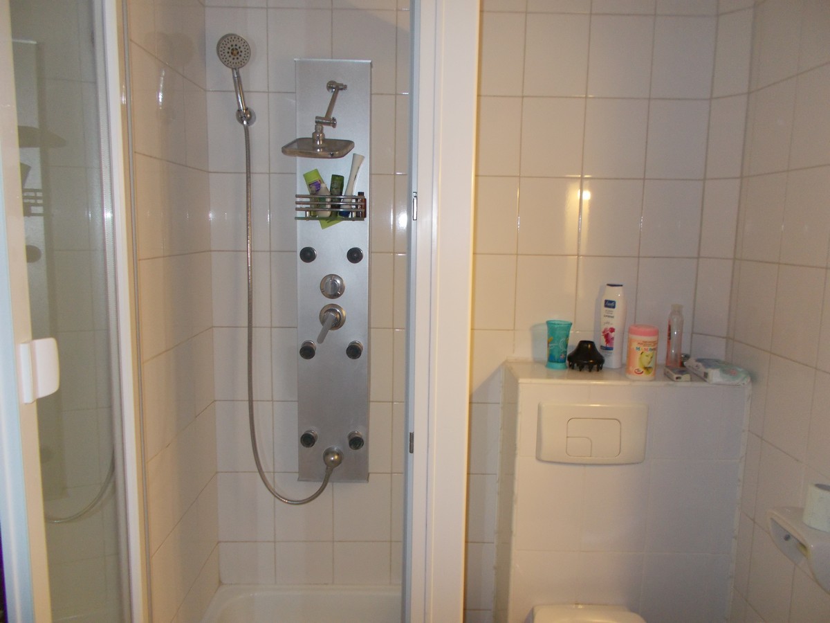 imobiliare timisoara