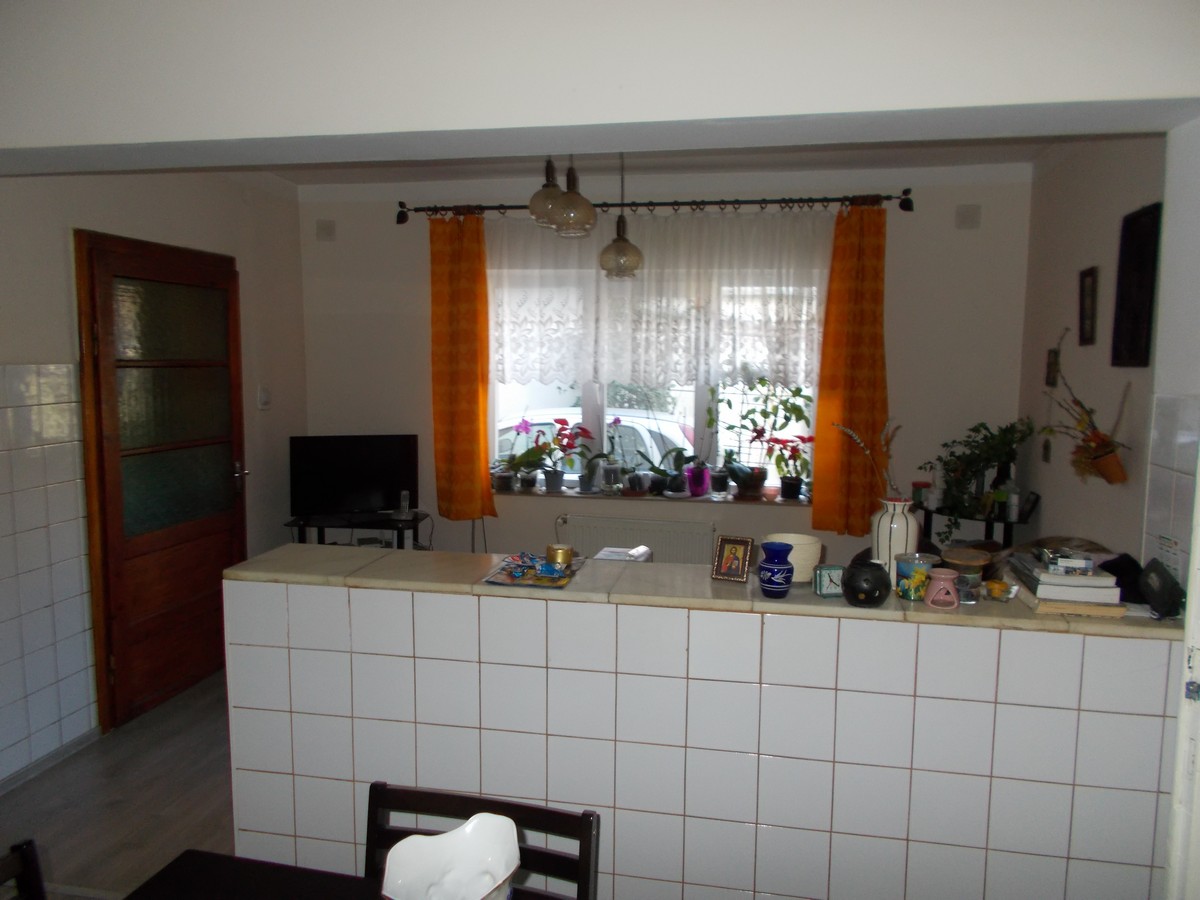 imobiliare timisoara