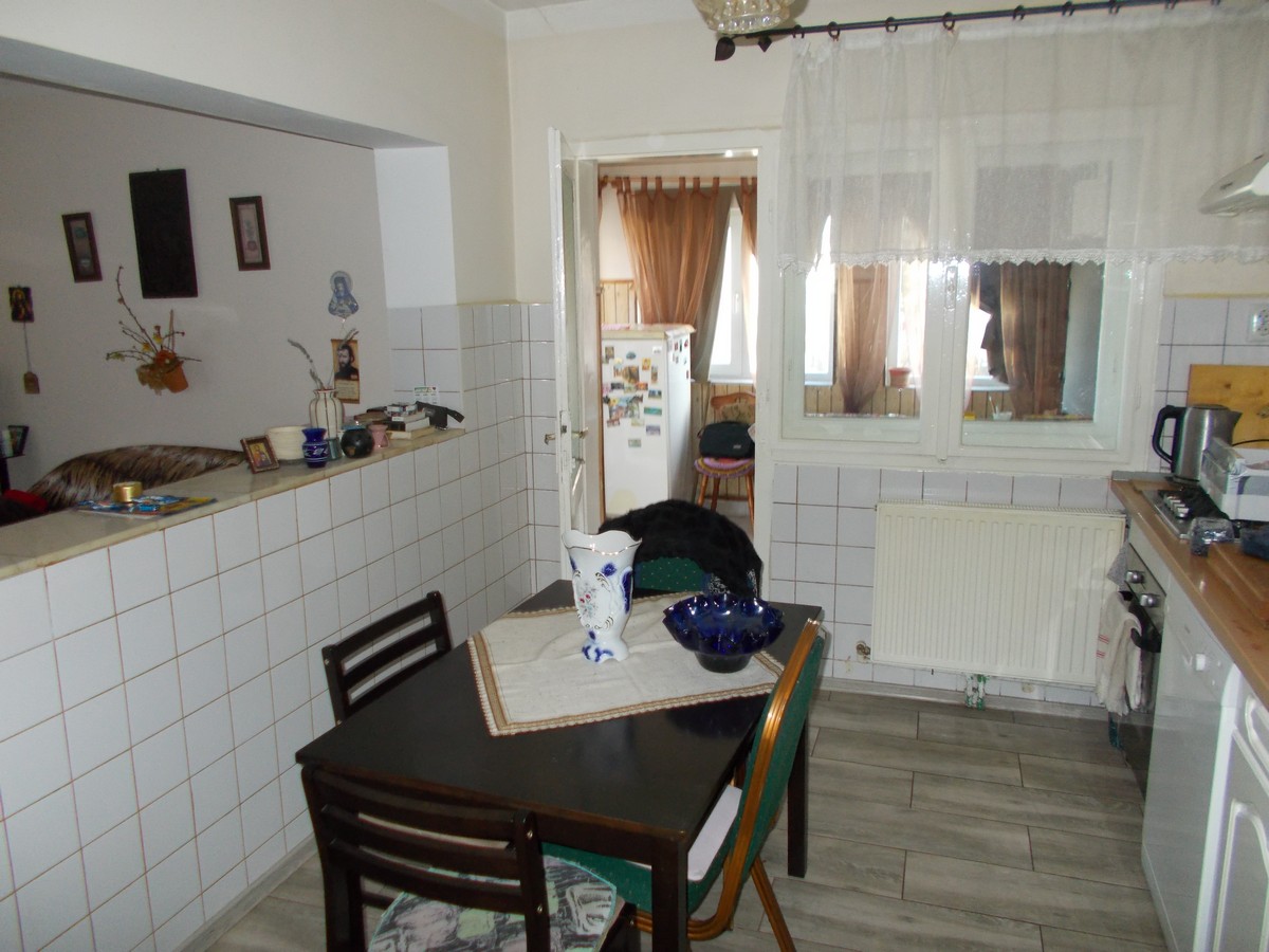 imobiliare timisoara