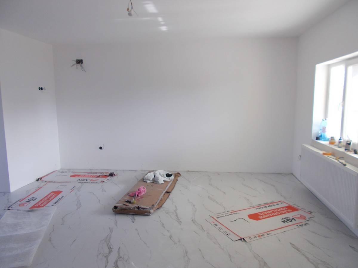 imobiliare timisoara