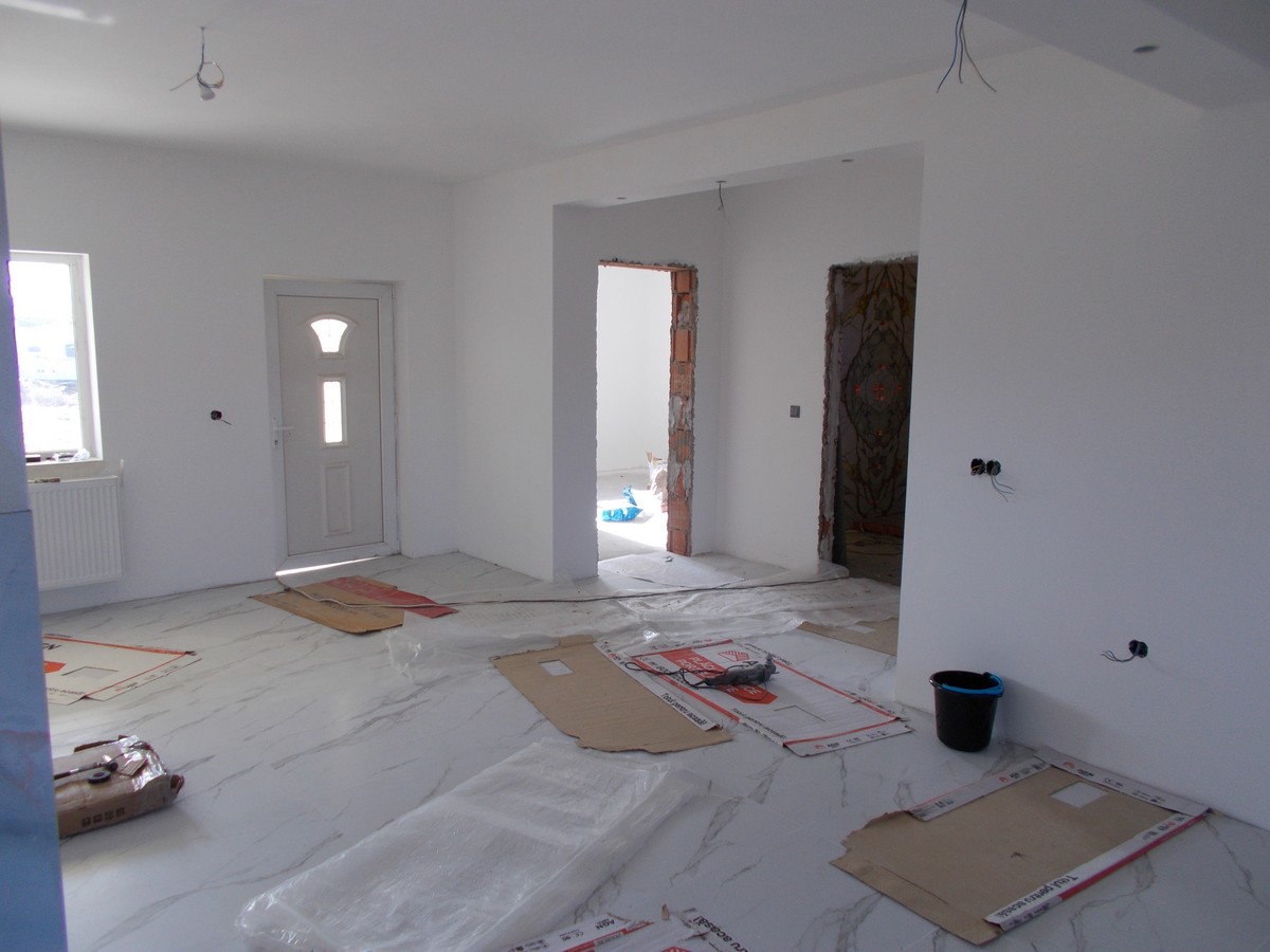 imobiliare timisoara