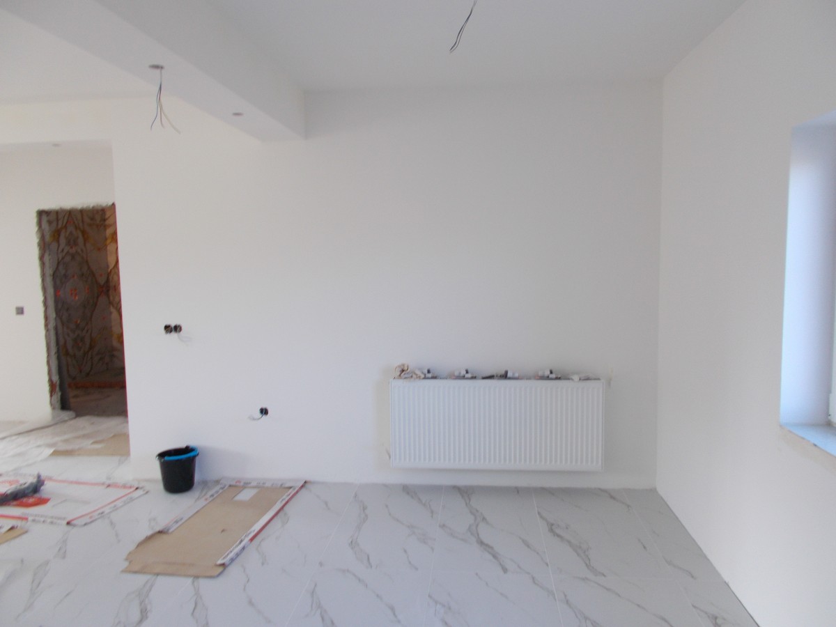 imobiliare timisoara