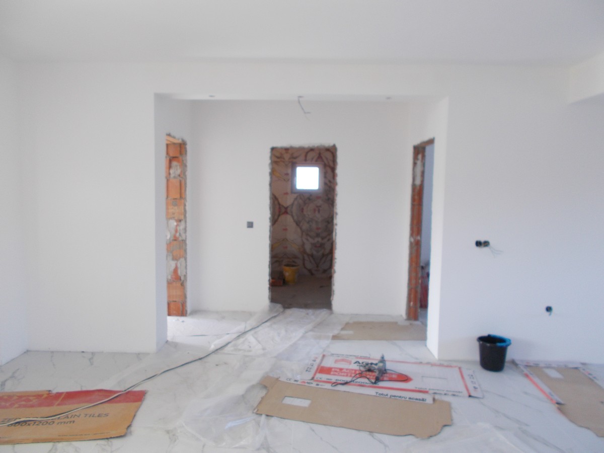 imobiliare timisoara