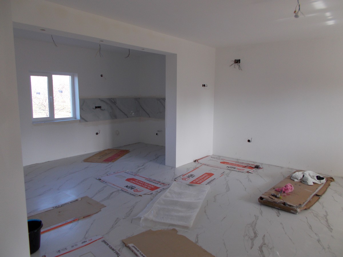 imobiliare timisoara