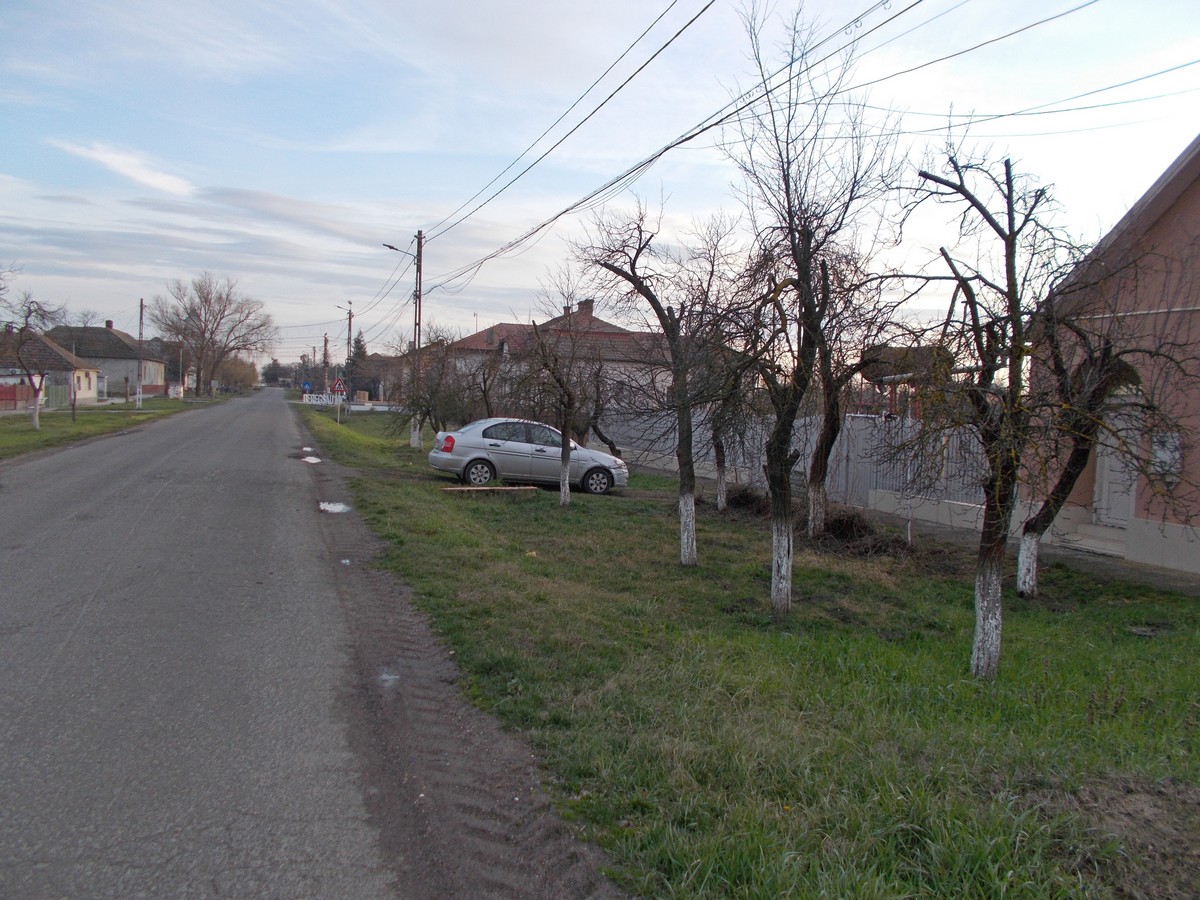 imobiliare timisoara