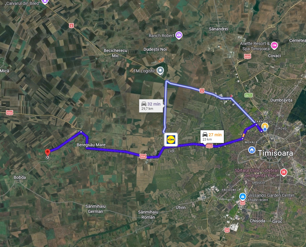 imobiliare timisoara