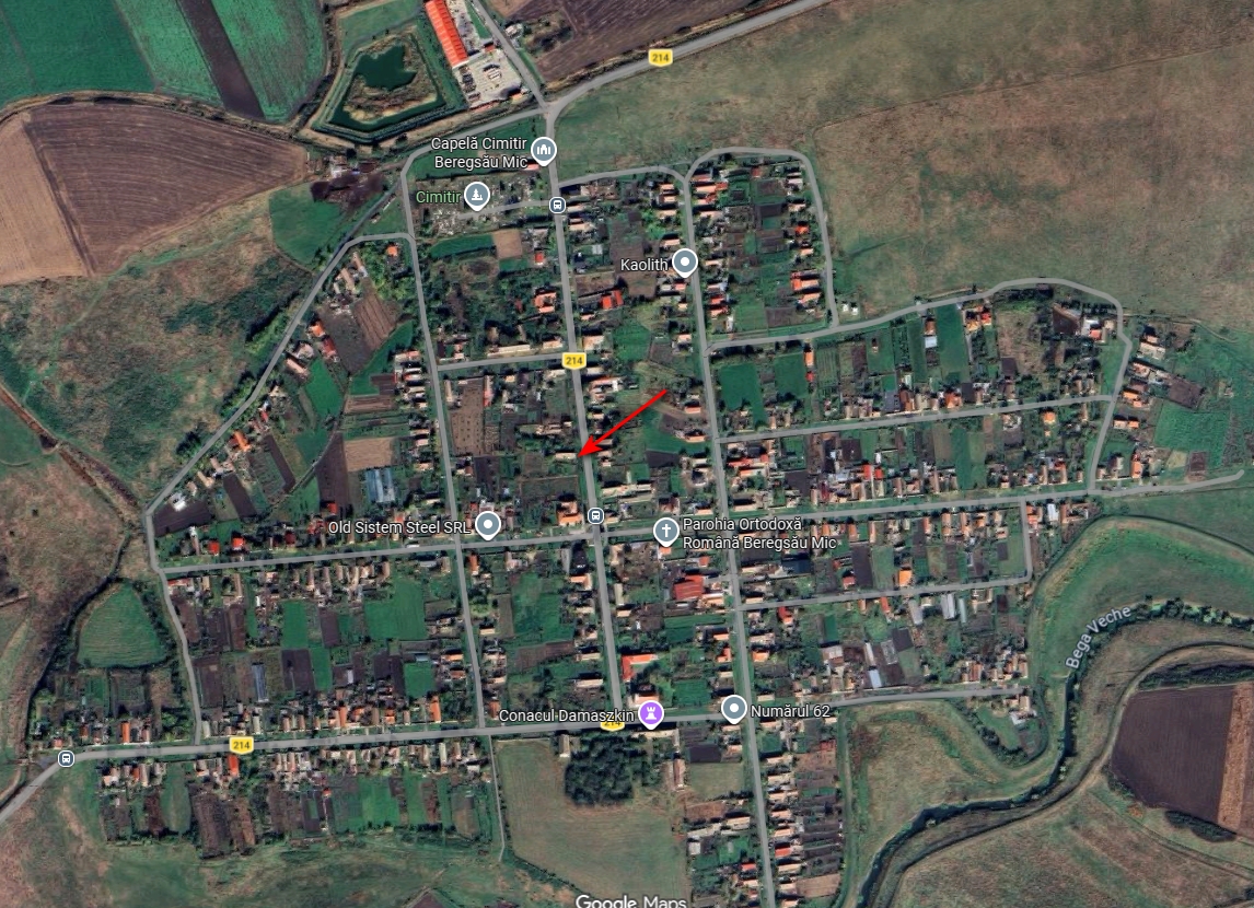 imobiliare timisoara