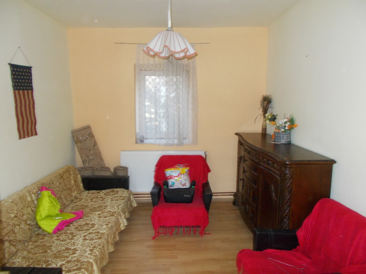 imobiliare timisoara