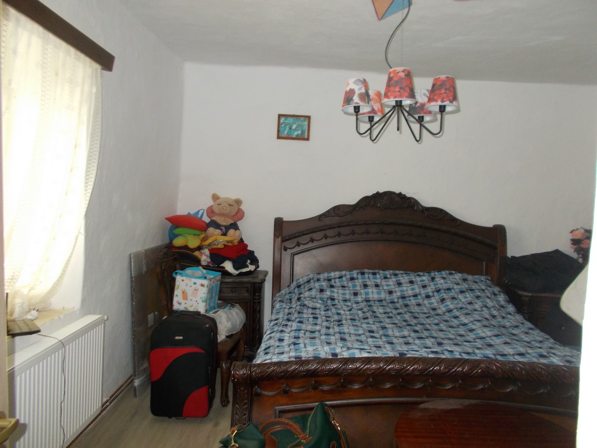 imobiliare timisoara