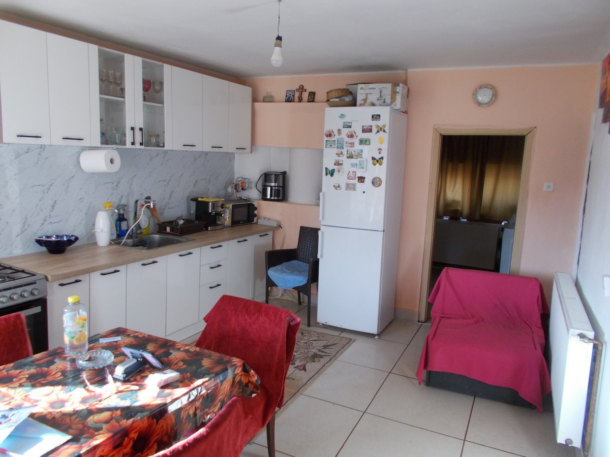 imobiliare timisoara