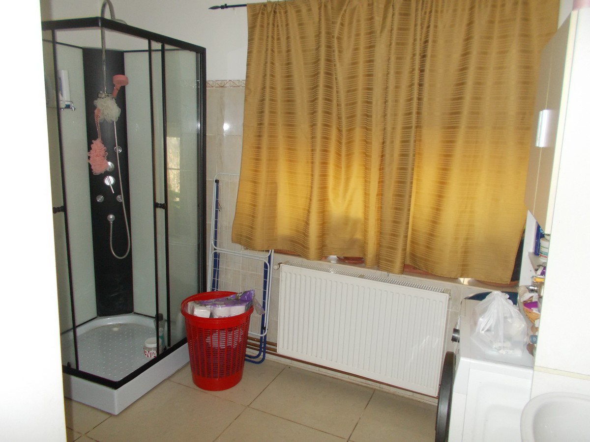 imobiliare timisoara