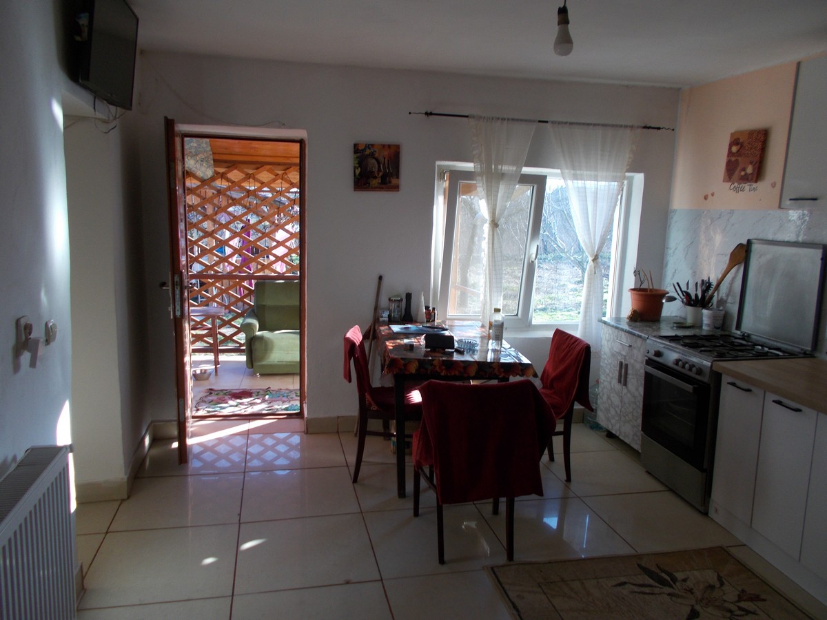 imobiliare timisoara