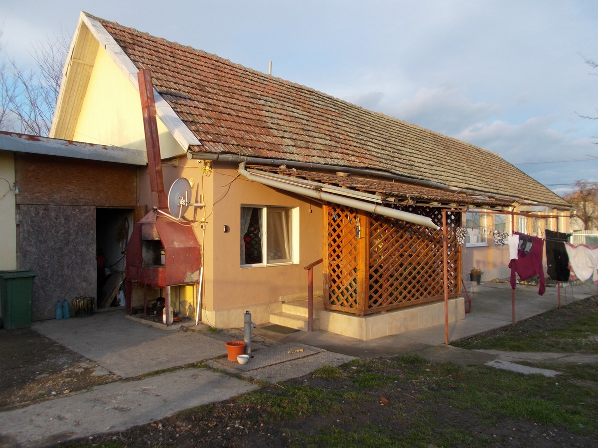 imobiliare timisoara