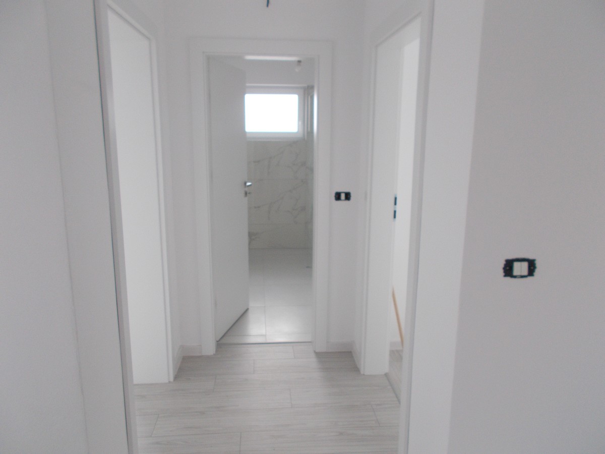 imobiliare timisoara