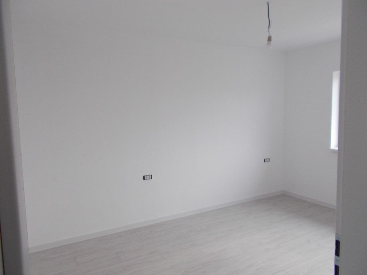 imobiliare timisoara