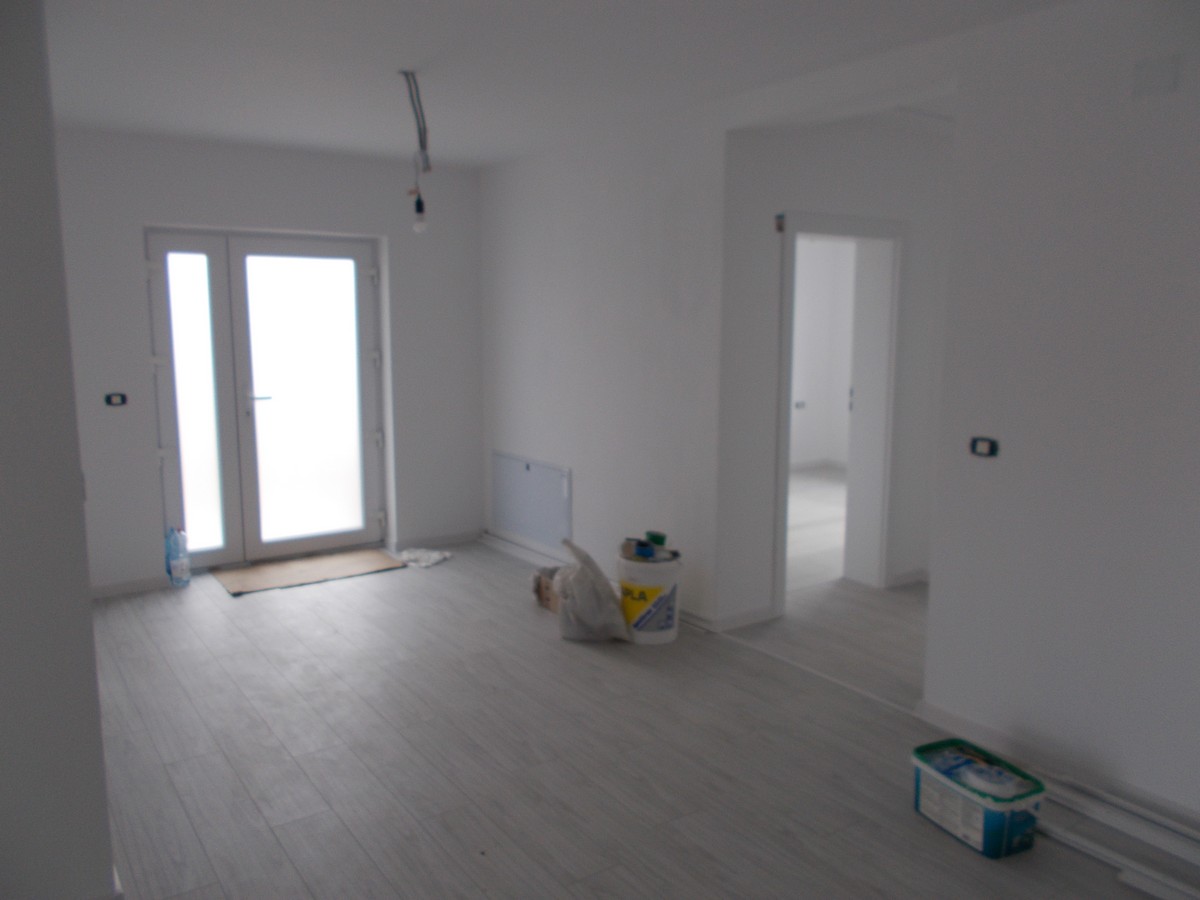 imobiliare timisoara