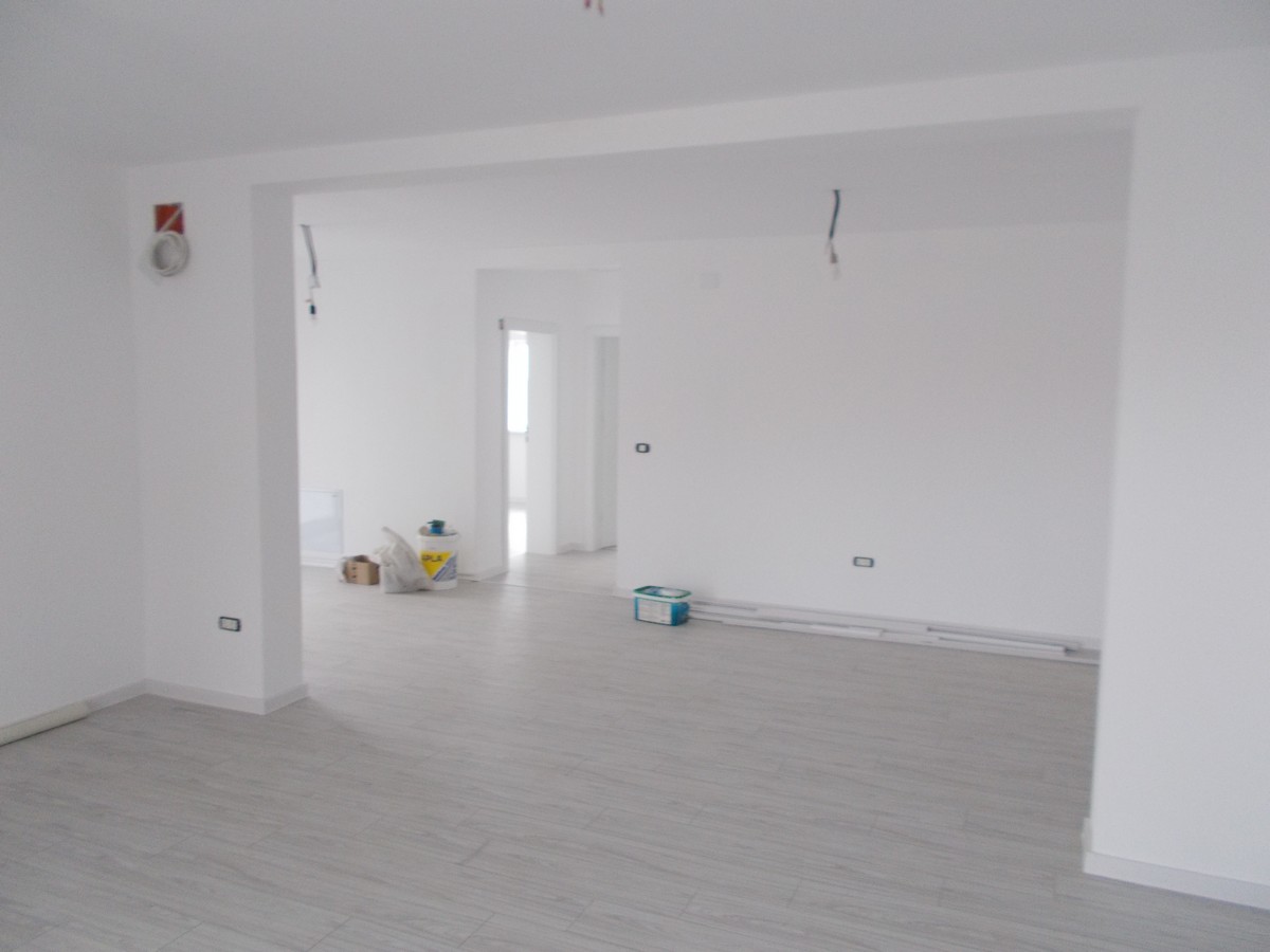 imobiliare timisoara