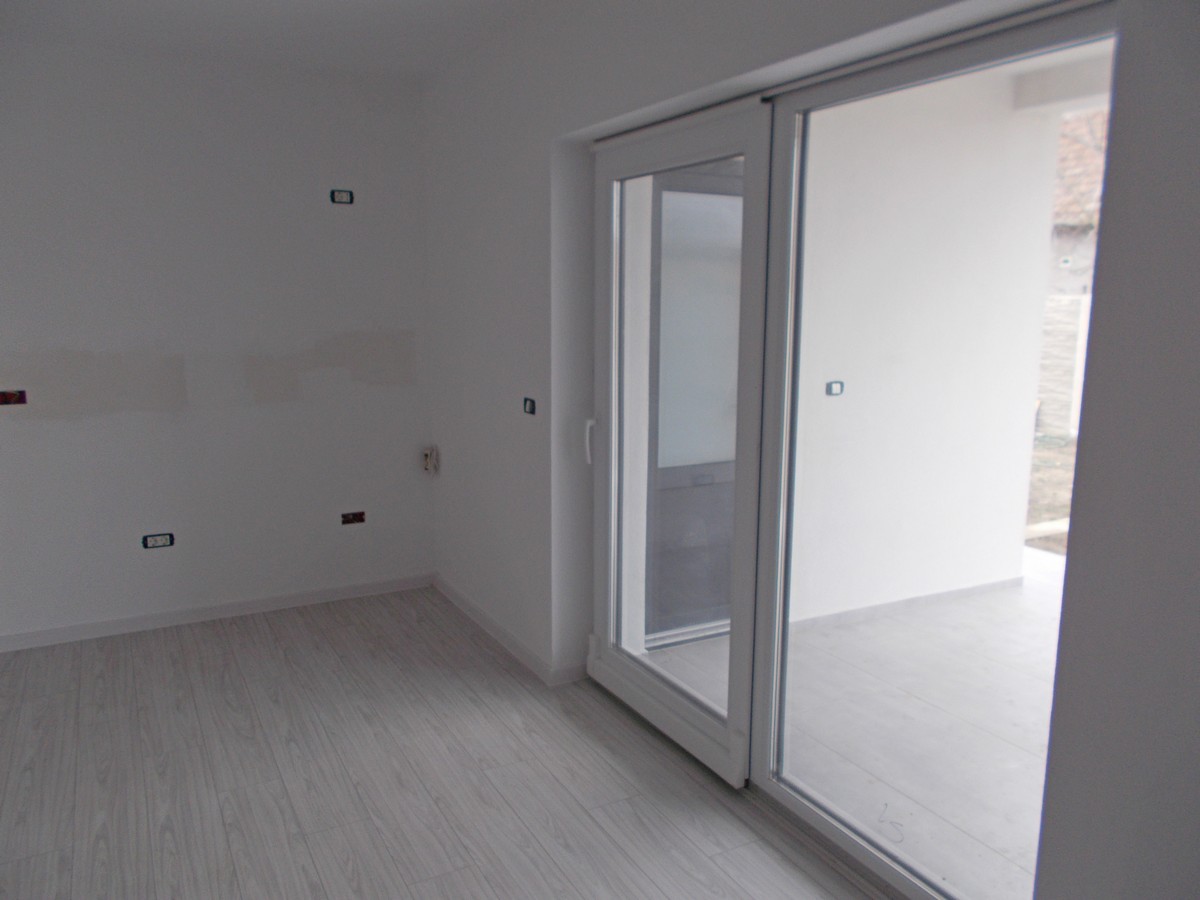 imobiliare timisoara