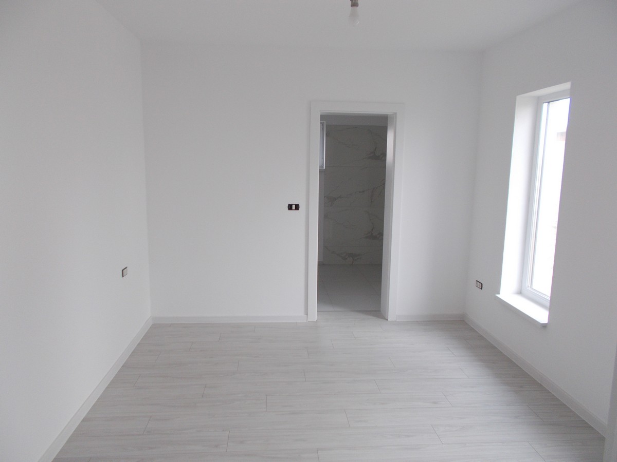 imobiliare timisoara